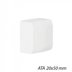 Embout ATA moulure ATA 20x50mm - HAGER ATA205069016