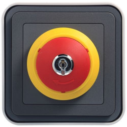 HAGER WNC032 - Arrêt d'urgence, à clé, Cubyko, Complet, saillie, Gris - FC