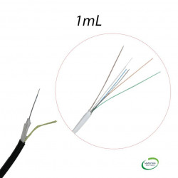 Câble 6 Fibre optique extérieure 9/125 OS2 LSZH Coupe au mètre