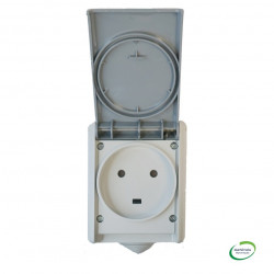 Prise de courant Plexo 32A 2P+T saillie étanche IP44 Gris - LEGRAND 055872