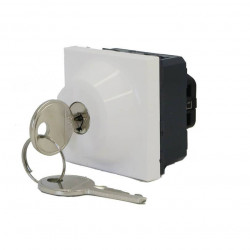 Legrand 077072 - Mosaic Interrupteur à clé RONIS 2 Positions