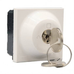 Legrand 077073 - Mosaic Interrupteur à clé RONIS 3 Positions