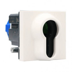 Legrand 077074 - Mosaic Interrupteur à clé barillet 2 Positions