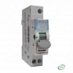 LEGRAND 406404 - Interrupteur sectionneur DX³-IS à voyant 1P 20A
