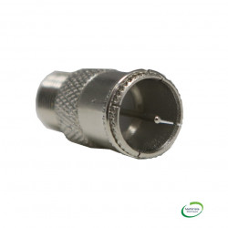 MAEC 0144372 - Fiche F, rapide