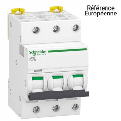 SCHNEIDER A9P64310 - Disj IC40 (IDT40) 3P 10A Courbe D 10kA
