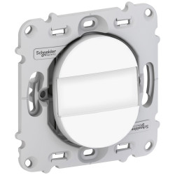 SCHNEIDER S261266 - Poussoir, porte-étiquette, 10A, sans plaque, Ovalis - FC
