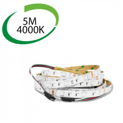 Vision El 75031 - Ruban LED RGB, 5M, 12V, 7,2W/M, IP20 - FC