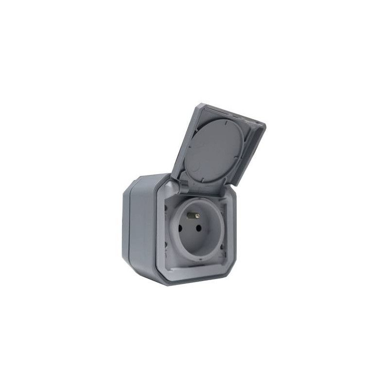 Prise Électrique 2P+T PLEXO Legrand 69731L - Étanche Gris Saillie - Neuf 2023