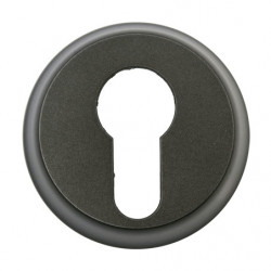 LEGRAND 067957 - Enjoliveur Pour poussoir à clé 3 positions Céliane Graphite