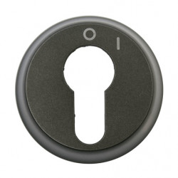 LEGRAND 067969 - Enjoliveur pour interrupteur à clé 2 positions Céliane Graphite - FC