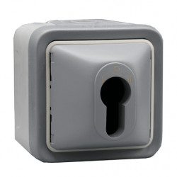 LEGRAND 069706 - Inter à clé Plexo complet IP55 saillie pour barillet européen gris (FC)