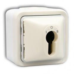 LEGRAND 069757 - Interrupteur à clé Plexo pour barillet euro saillie blanc (FC)