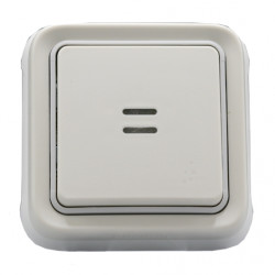 LEGRAND 069613 - Va-et-vient lumineux étanche Plexo encastré Blanc (FC)