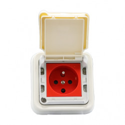 LEGRAND 069623 - Prise à détrompage encastré Plexo Blanc 2P+T 16A (FC)