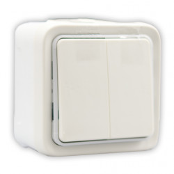 LEGRAND 069625 - Double va-et-vient étanche en saillie Plexo Blanc (FC)