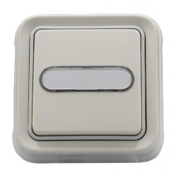 LEGRAND 069634 - Bouton poussoir porte-étiquette lumineux étanche encastré Plexo (FC)