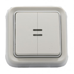 LEGRAND 069636 - Double bouton poussoir lumineux étanche encastré Plexo Blanc (FC)