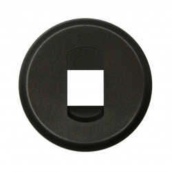 LEGRAND 067813 - Enjoliveur Prise haut parleur simple Graphite Céliane