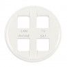 Enjoliveur RJ45 quadruple Céliane NEW Blanc réseau Optimum auto
