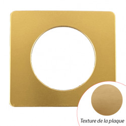 Plaque Céliane Laiton Satiné 1 poste - LEGRAND CP1201