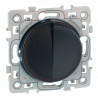 Square Interrupteur + poussoir Anthracite