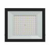 Projecteur LED Extérieur IP65 100W