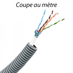 Gaine électrique Préfilée ICTA20mm + câble RJ45 Cat6FTP - Coupe au mètre