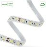 Ruban LED blanc chaud 3000K 12V 5,6W/M IP20 rouleau de  30 mètres - WOJ14420