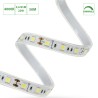 Ruban LED blanc neutre 4000K 12V 5,6W/M IP20 rouleau 30 mètres - WOJ14421
