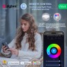 Ampoule Connecté Zigbee dimmable LED E27 RGB 9W 810 lumens