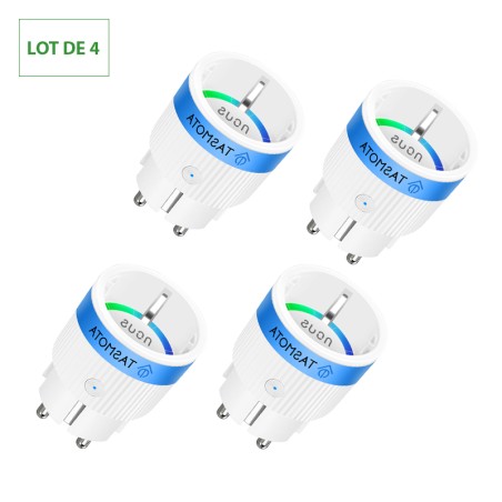 Prise Connecté WIFI TASMOTA 10A pré-installé