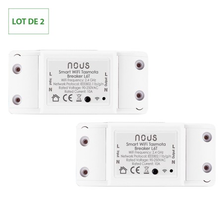 Module connecté WIFI TASMOTA préinstallé ON/OFF 10A 1 canal lot de 2