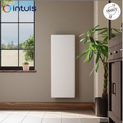 Radiateur inertie fonte Vertical 1000W CHAMANE Nativ M198213