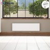 Radiateur inertie fonte Plinthe 1000W CHAMANE Nativ