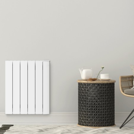 Radiateur à fluide ALOE 750W Neomitis