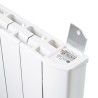 Radiateur à fluide ALOE 750W
