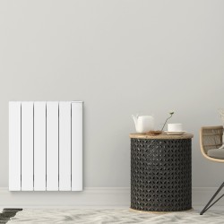 Radiateur à fluide ALOE 2000W Neomitis RFLD200AMS14