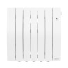 Radiateur connecté à fluide GALAPAGOS 1500W
