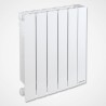 Radiateur à inertie fluide