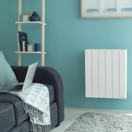 Radiateur à inertie fluide