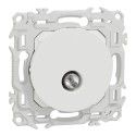 Odace Prise TV simple mâle sortie coaxiale - S920445