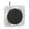 Odace Interrupteur ou poussoir lumineux double SCHNEIDER S940273
