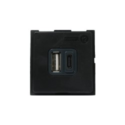 Chargeur USB Living Now 15W Type C+A 2 modules BTK4287C2