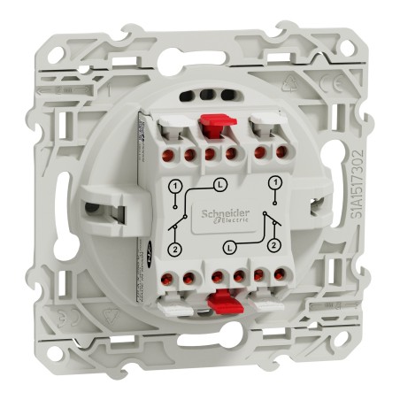 Odace Double interrupteur SCHNEIDER