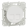Odace Prise double RJ45 SCHNEIDER S520486