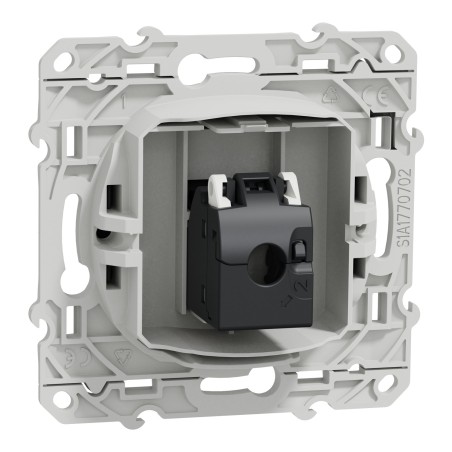 Odace Prise RJ45 SCHNEIDER