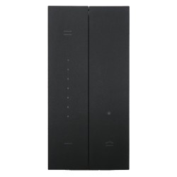 Enjoliveur variateur Living Now 2 modules noir BTKG19