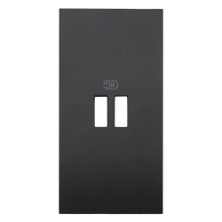 Enjoliveur chargeur USB Living Now 2 modules noir BTKG12C