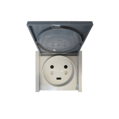 Prise 2P+T 20A Plexo, encastré, Gris